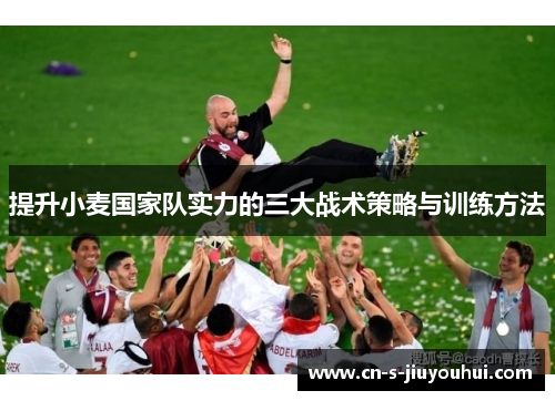 提升小麦国家队实力的三大战术策略与训练方法